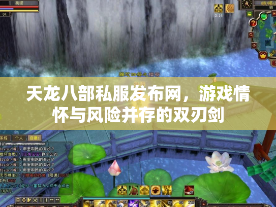 天龙八部私服发布网，游戏情怀与风险并存的双刃剑