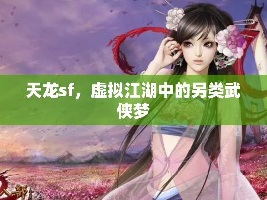 天龙sf，虚拟江湖中的另类武侠梦