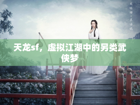 天龙sf，虚拟江湖中的另类武侠梦