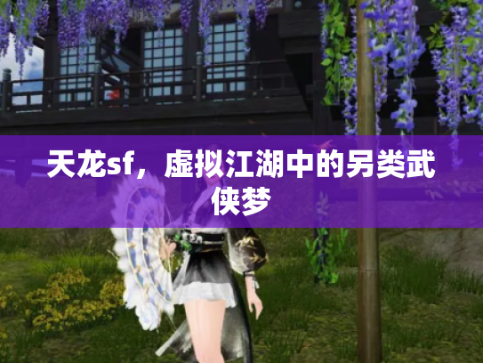 天龙sf，虚拟江湖中的另类武侠梦