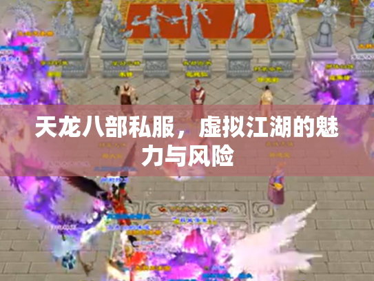 天龙八部私服，虚拟江湖的魅力与风险