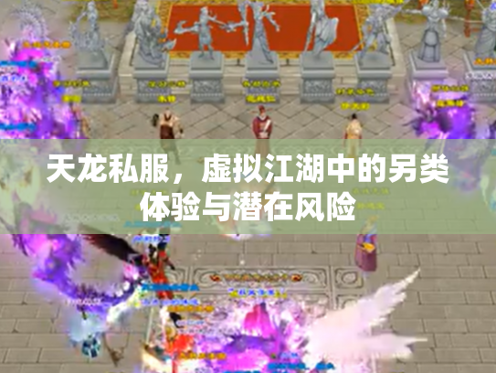 天龙私服，虚拟江湖中的另类体验与潜在风险