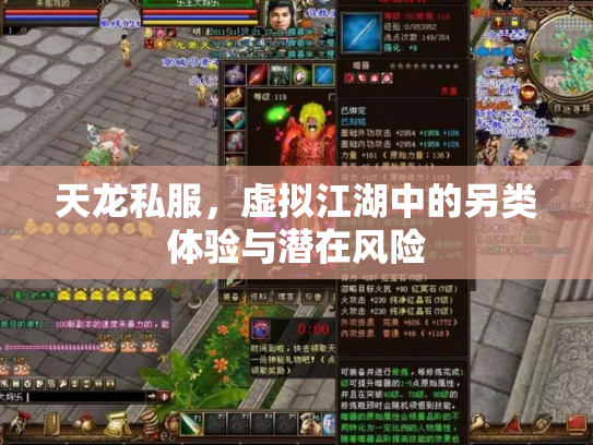 天龙私服，虚拟江湖中的另类体验与潜在风险