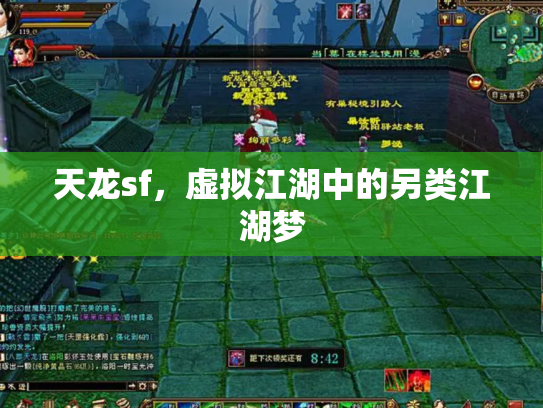 天龙sf，虚拟江湖中的另类江湖梦
