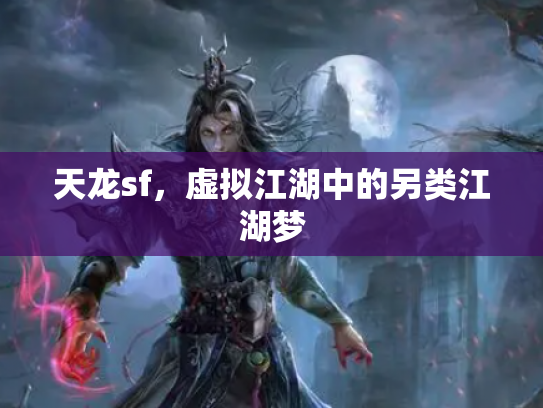 天龙sf，虚拟江湖中的另类江湖梦
