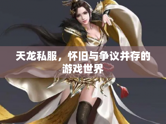 天龙私服，怀旧与争议并存的游戏世界
