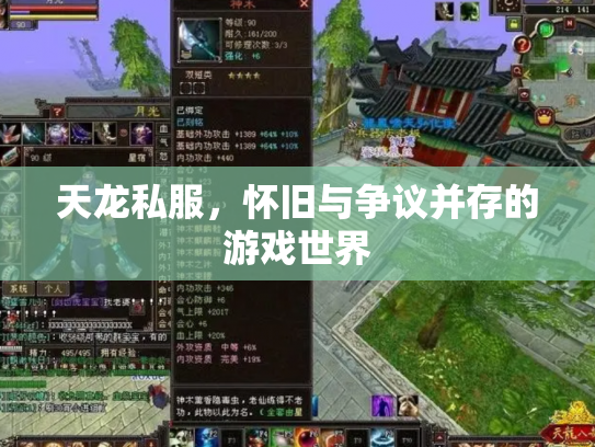 天龙私服，怀旧与争议并存的游戏世界