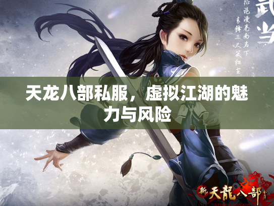 天龙八部私服，虚拟江湖的魅力与风险