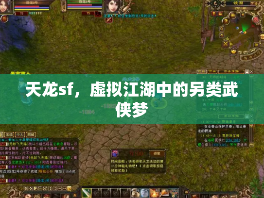 天龙sf，虚拟江湖中的另类武侠梦