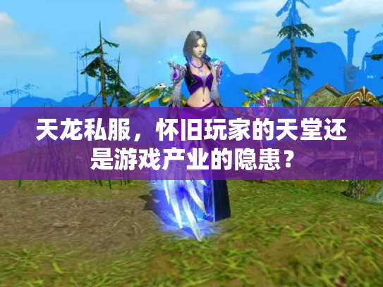 天龙私服，怀旧玩家的天堂还是游戏产业的隐患？