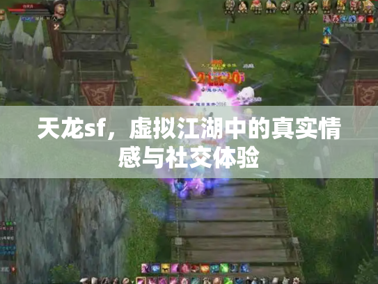 天龙sf，虚拟江湖中的真实情感与社交体验