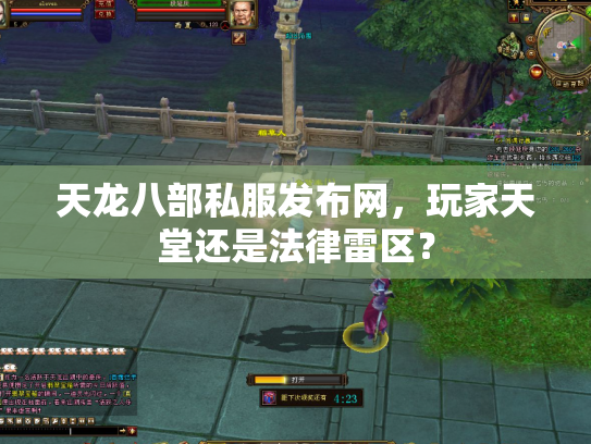 天龙八部私服发布网，玩家天堂还是法律雷区？