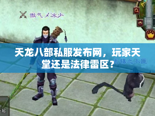 天龙八部私服发布网，玩家天堂还是法律雷区？