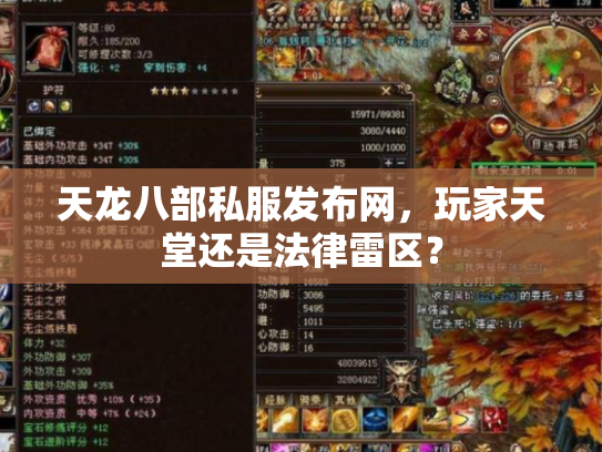 天龙八部私服发布网，玩家天堂还是法律雷区？