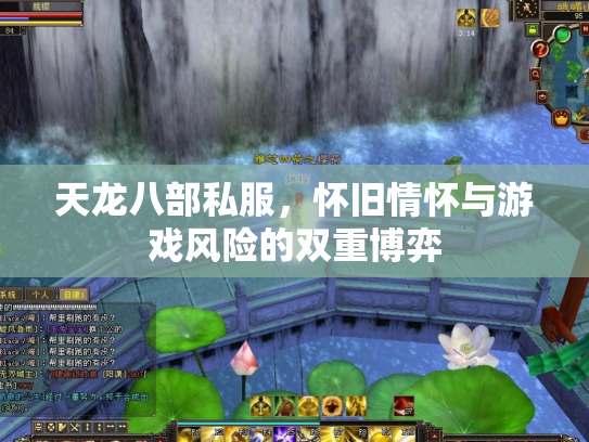天龙八部私服，怀旧情怀与游戏风险的双重博弈