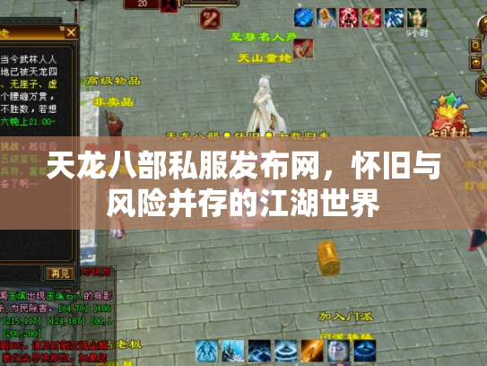 天龙八部私服发布网，怀旧与风险并存的江湖世界