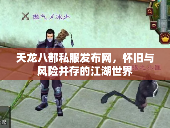 天龙八部私服发布网，怀旧与风险并存的江湖世界