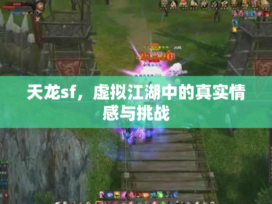 天龙sf，虚拟江湖中的真实情感与挑战