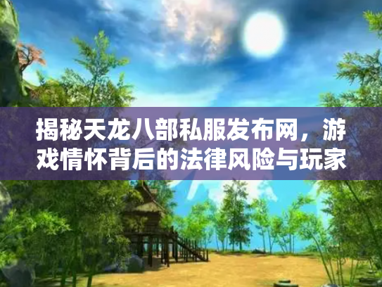 揭秘天龙八部私服发布网，游戏情怀背后的法律风险与玩家选择