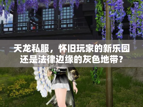 天龙私服，怀旧玩家的新乐园还是法律边缘的灰色地带？