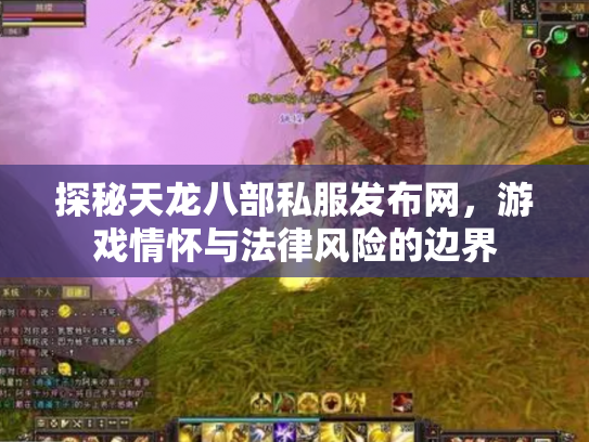 探秘天龙八部私服发布网，游戏情怀与法律风险的边界