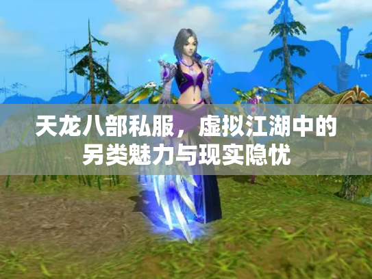 天龙八部私服，虚拟江湖中的另类魅力与现实隐忧