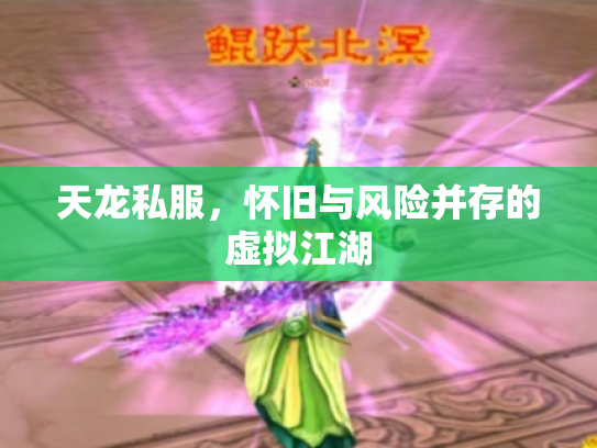 天龙私服，怀旧与风险并存的虚拟江湖