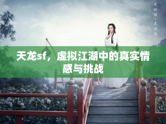 天龙sf，虚拟江湖中的真实情感与挑战