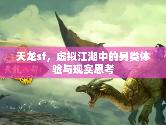 天龙sf，虚拟江湖中的另类体验与现实思考