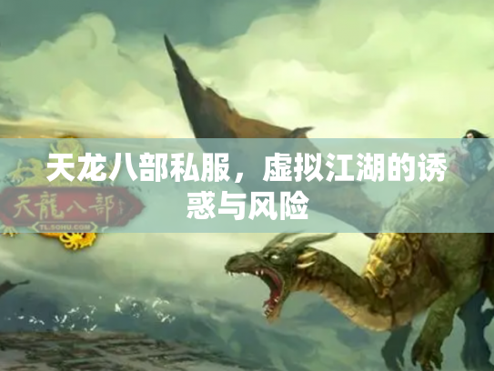 天龙八部私服，虚拟江湖的诱惑与风险
