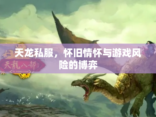 天龙私服，怀旧情怀与游戏风险的博弈