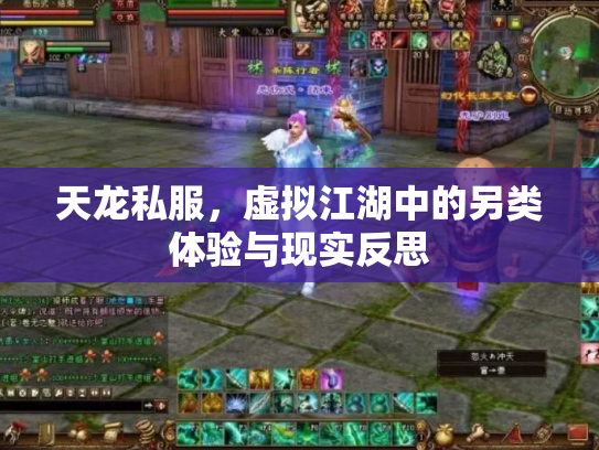 天龙私服，虚拟江湖中的另类体验与现实反思