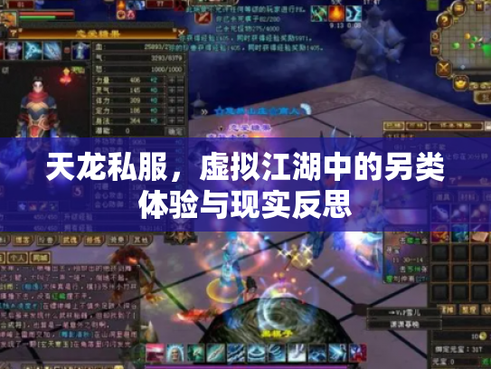 天龙私服，虚拟江湖中的另类体验与现实反思