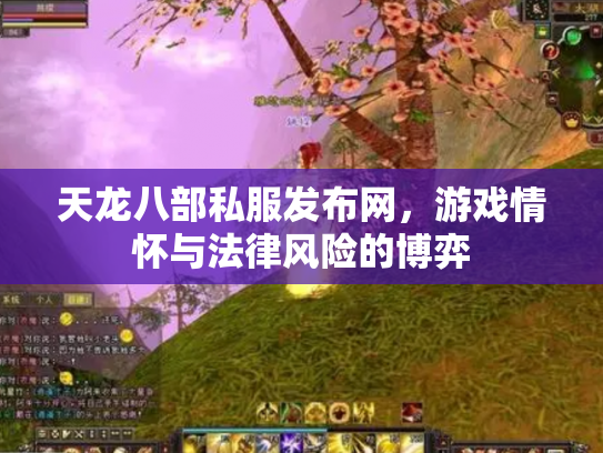 天龙八部私服发布网，游戏情怀与法律风险的博弈
