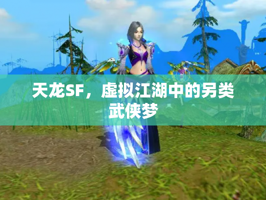 天龙SF，虚拟江湖中的另类武侠梦