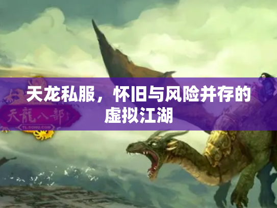 天龙私服，怀旧与风险并存的虚拟江湖