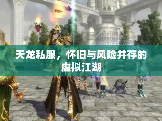 天龙私服，怀旧与风险并存的虚拟江湖