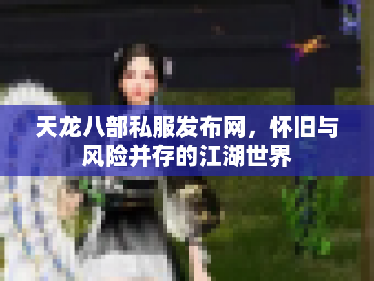 天龙八部私服发布网，怀旧与风险并存的江湖世界