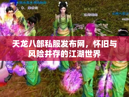 天龙八部私服发布网，怀旧与风险并存的江湖世界