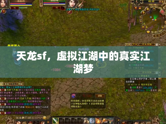 天龙sf，虚拟江湖中的真实江湖梦