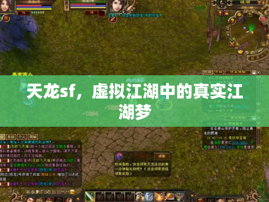 天龙sf，虚拟江湖中的真实江湖梦