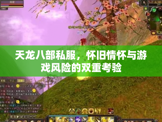 天龙八部私服，怀旧情怀与游戏风险的双重考验