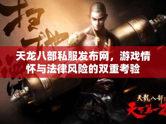 天龙八部私服发布网，游戏情怀与法律风险的双重考验