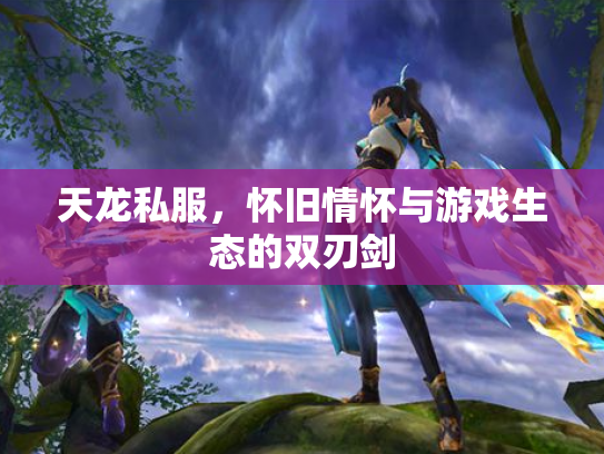 天龙私服，怀旧情怀与游戏生态的双刃剑