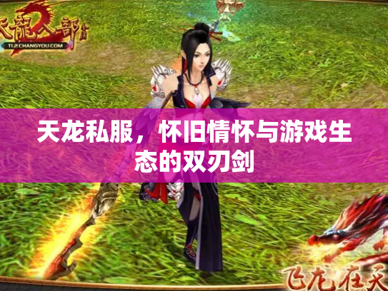 天龙私服，怀旧情怀与游戏生态的双刃剑