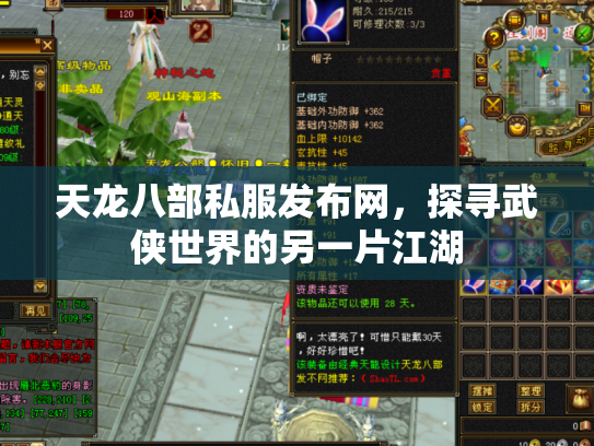 天龙八部私服发布网，探寻武侠世界的另一片江湖