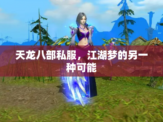 天龙八部私服，江湖梦的另一种可能