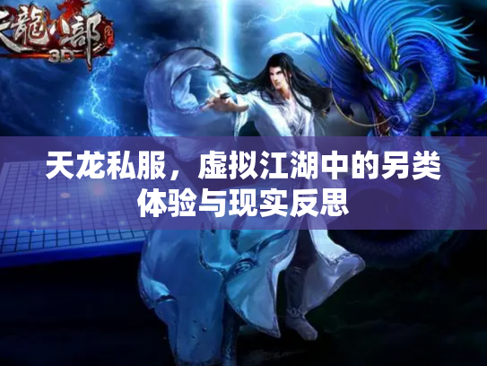 天龙私服，虚拟江湖中的另类体验与现实反思