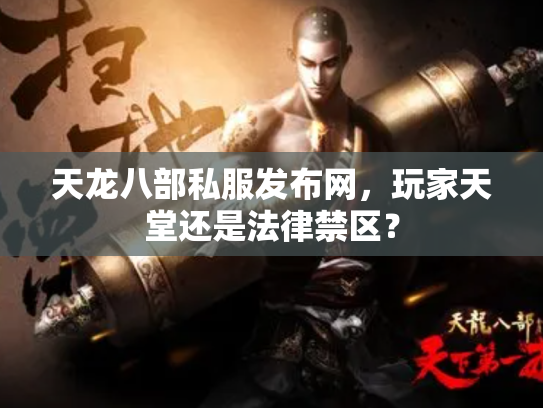 天龙八部私服发布网，玩家天堂还是法律禁区？