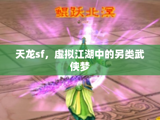 天龙sf，虚拟江湖中的另类武侠梦